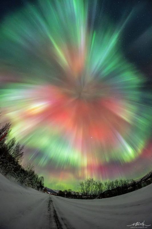 ��� ��������� ������ ����� ����� �������� ������ ������ ����: