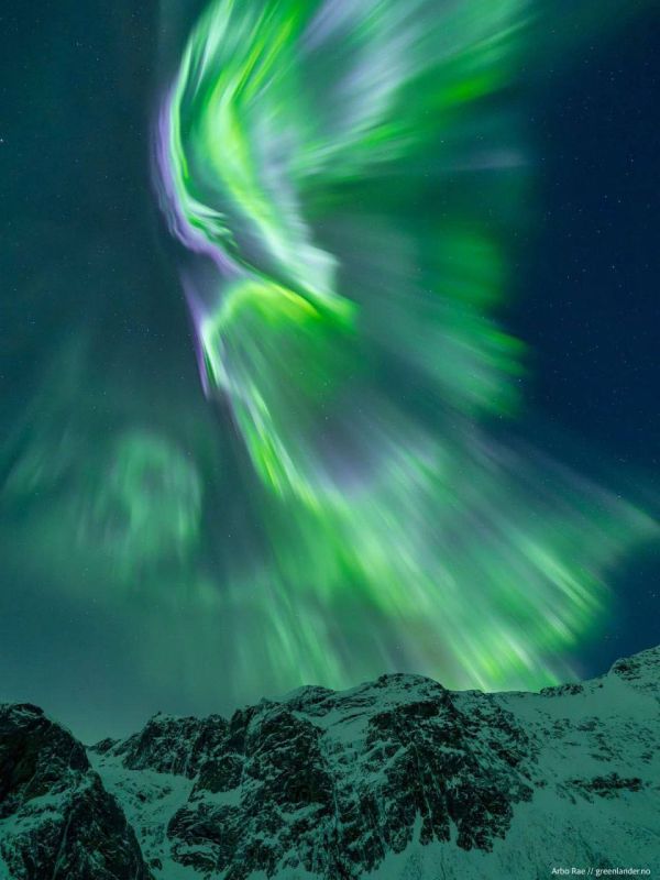 ��� ��������� ������ ����� ����� �������� ������ ������ ����: