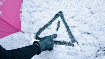 ���������, ��������: ��� �������� ����� � �������