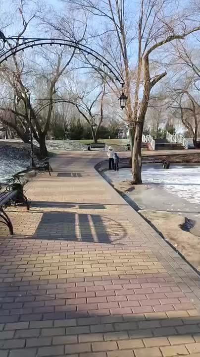 Мама с малышом пробует лёд в парке на прочность - так делать нельзя, говорят спасатели