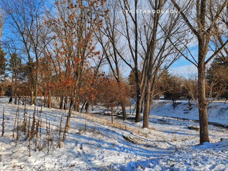 ����� ������, � ������ ����� ����