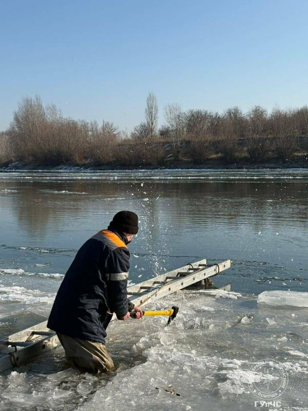 ������� ��������� � ��������