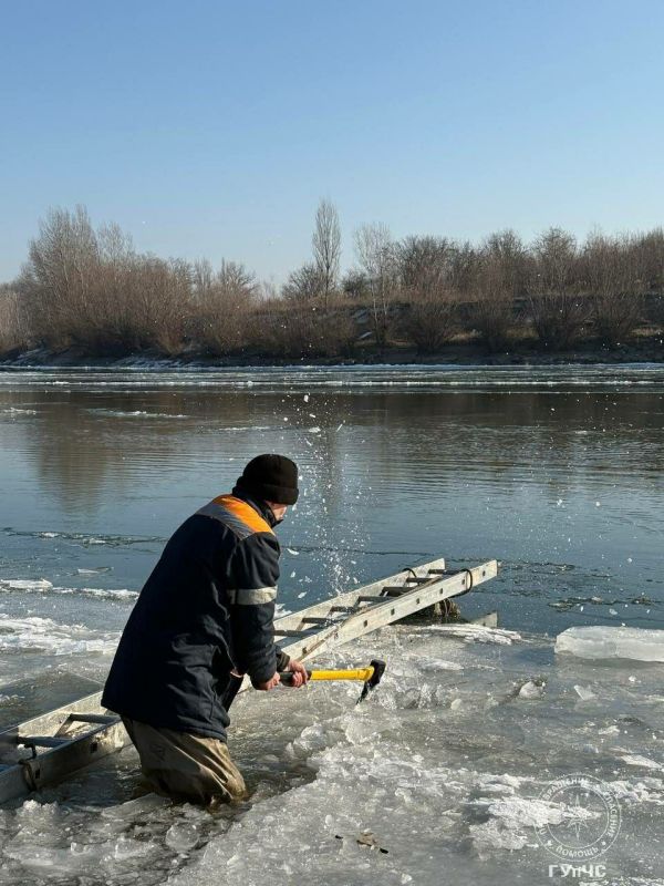 ��������� ��������� ����. �������� � ��������� �������� �������� ����������� �� ���������� � ���������� ��������