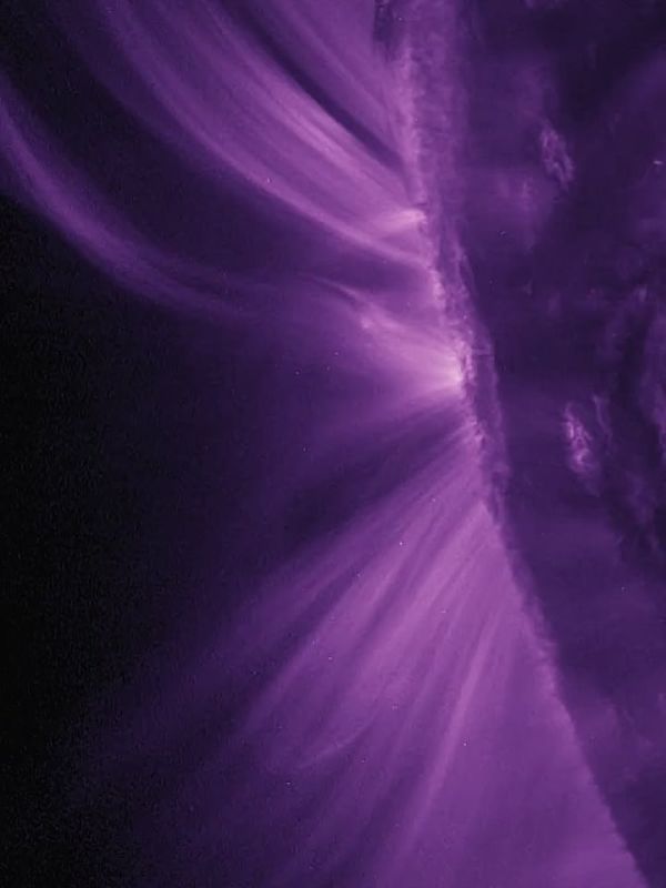 ��������� ���� � ����� ���� ����� ���������� ���� - �� ����������� ����������, ��������� ���������� � ������ ��� �������� 2025 ���