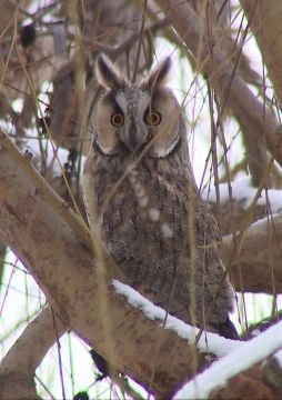 ������� ���� � ��������� ���