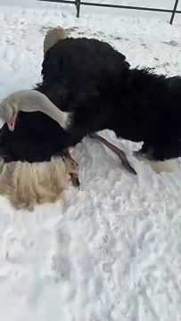 ����������� ������� � ������� ������ ����, ����� ��������� �� ������ � ����� �����, ���������� ����� � ���������� ����� �� �����