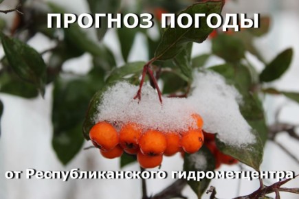 Анализ погоды от главного метеоролога Приднестровья