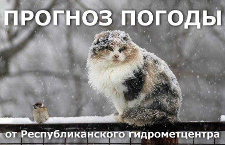 ������� ����!. ������� ������ �� �������, 15 ������