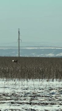 ������ �� ����������� ����� �������������