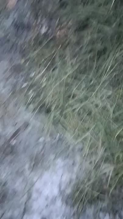 ������-������� ������ �� ����� � ���� �����������