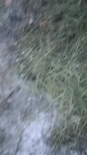 ������-������� ������ �� ����� � ���� �����������