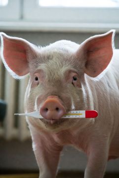 ��� ���� ���� ����������� ���� ������ ����� � ���������� ���� �������