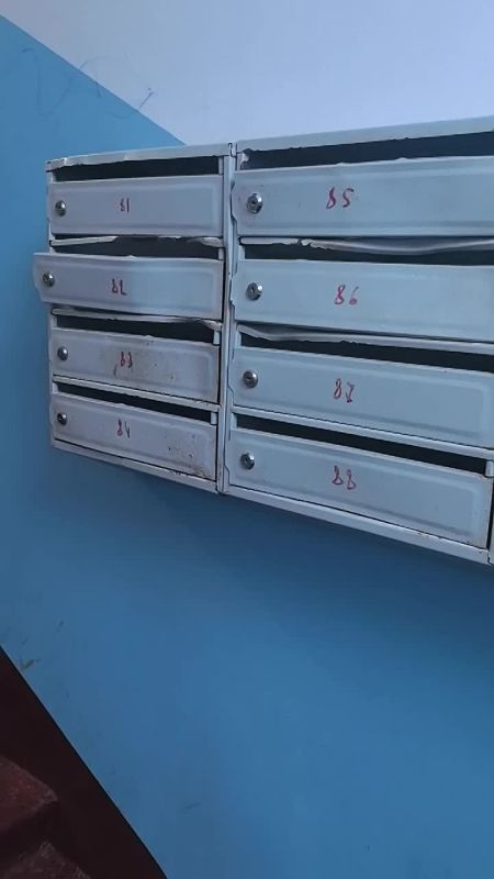 Видео про снег из Петропавловска-Камчатского, где полночь, когда у нас три часа дня