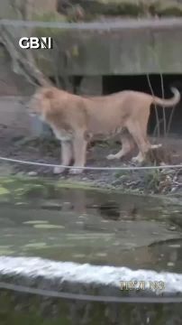 ���� ���� �����: �������� �� ������ �� ������!