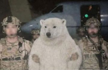 ��� �������� ��������������� ����������