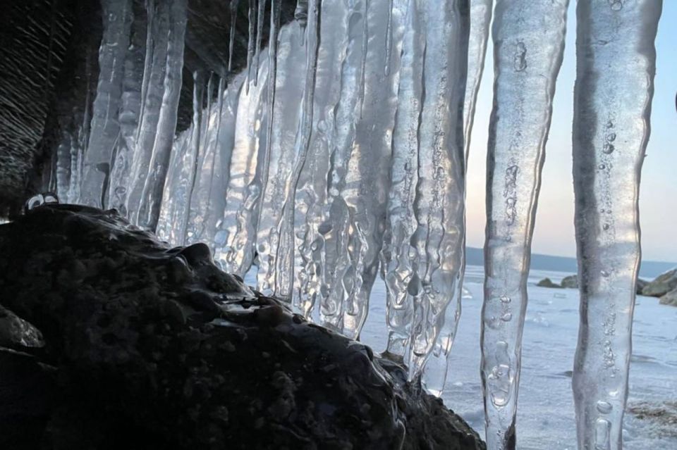 �������� ������������ ������������� ��������� ����������� ��������� ��������