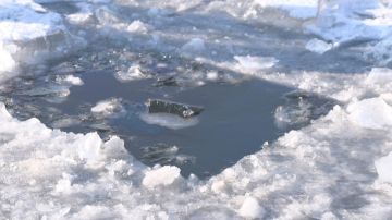 �� �������������:. ������� � ������ �� ��������� � �������������� ������� ������������ ������;