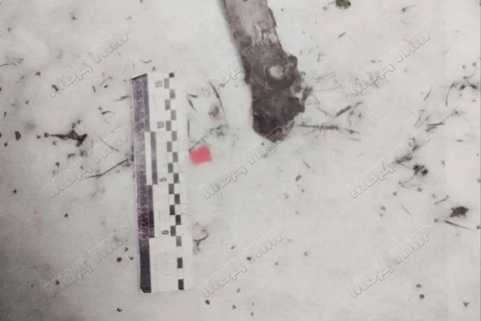 ����������� ������� ��������� � ����, ����� ������� ������������ � ��� ��������