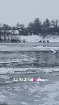 ˸� �� ������� ���� ������� ��������� ��� �������