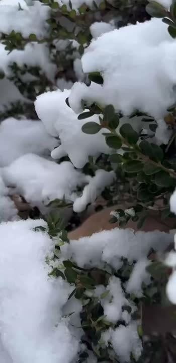 Когда в воздухе отчётливо пахнет выходными)