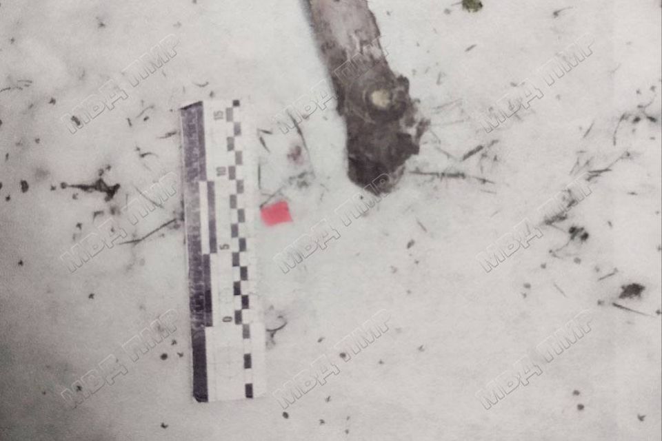 ������� ���������� �� ����������