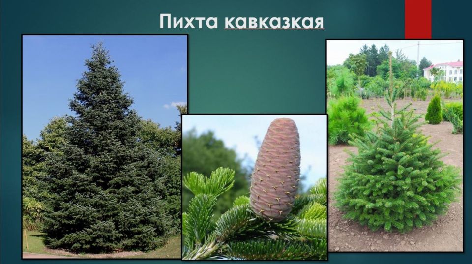 ������������� � ���������� ������� ���� ��� ������� ��� �������������