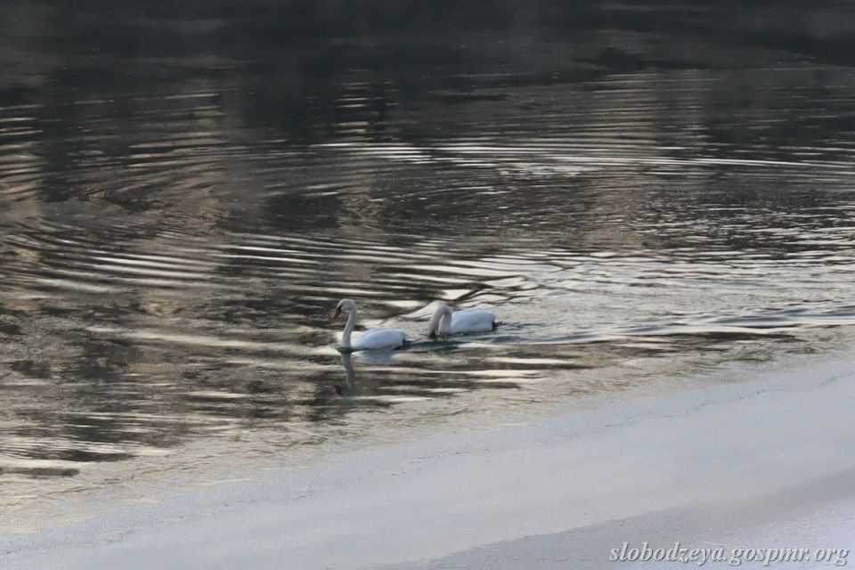 ������ ������, 16.01.2026 �