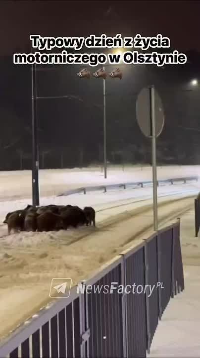 Обычный зимний день водителя трамвая в 200-тысячном польском городе Ольштын