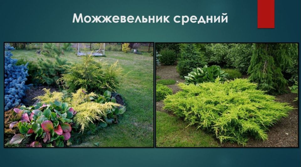 ������������� � ���������� ������� ���� ��� ������� ��� �������������