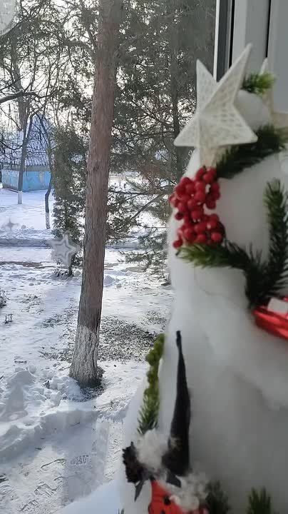 Рыбницкие дошкольники открыли «цитрусовое кафе» для пернатых