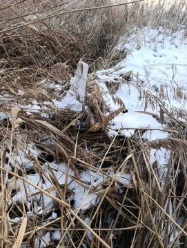 ������ �������� ���������� � ��������� ������������ � �������