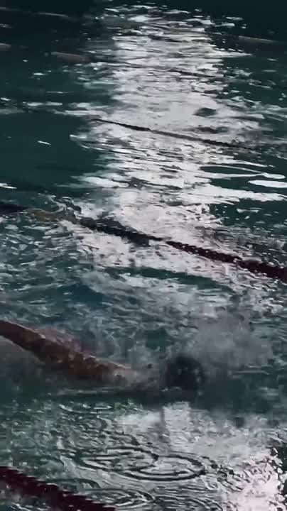 В столице прошёл турнир по плаванию, посвящённый памяти тренера Швец-Коваленко Л.И