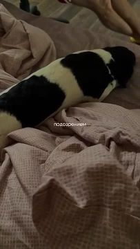 ��������� ��� ������ �������� � ��������� ��-�� ����� ������