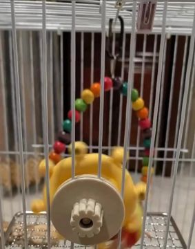 ������ ���������, ������� ������� ��� �������