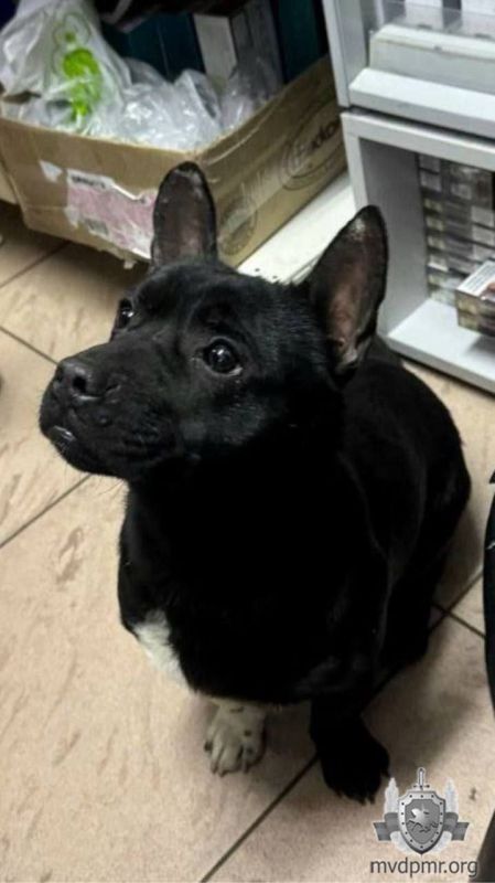 ������� �� ���������� ������