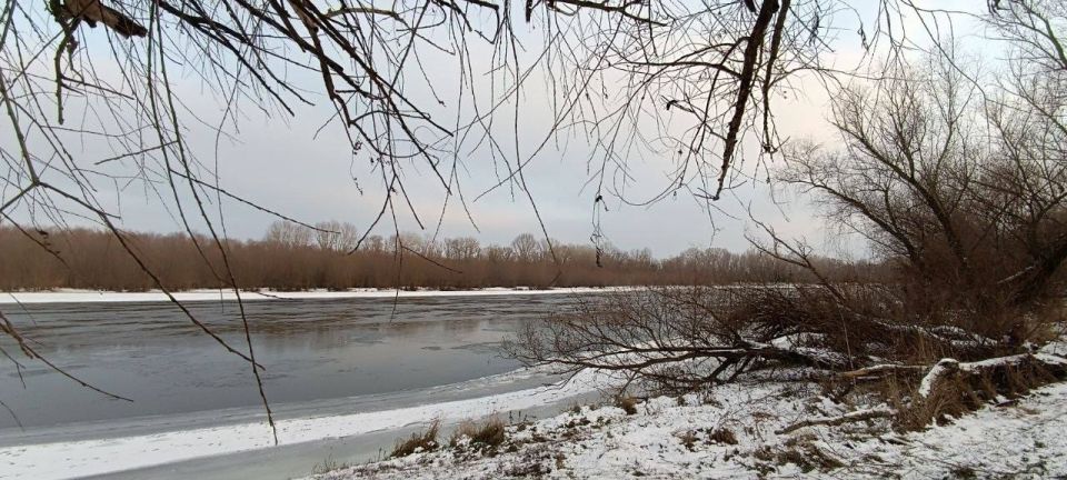 �������� �� � ��������. �� ���: ����� ����� ���� � � ��������� �������� �������