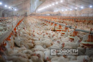 � ������� � ������ �����. ������� � ���� ����� �������� ������������ ������