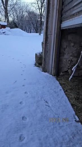 ����� ����� �� �����, � ��� ����� 20: � ���������� ����� ������� ���� ������ �� ������, ����� ��� ������