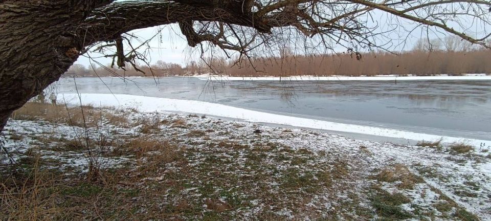 ������� ������ ���������� �������