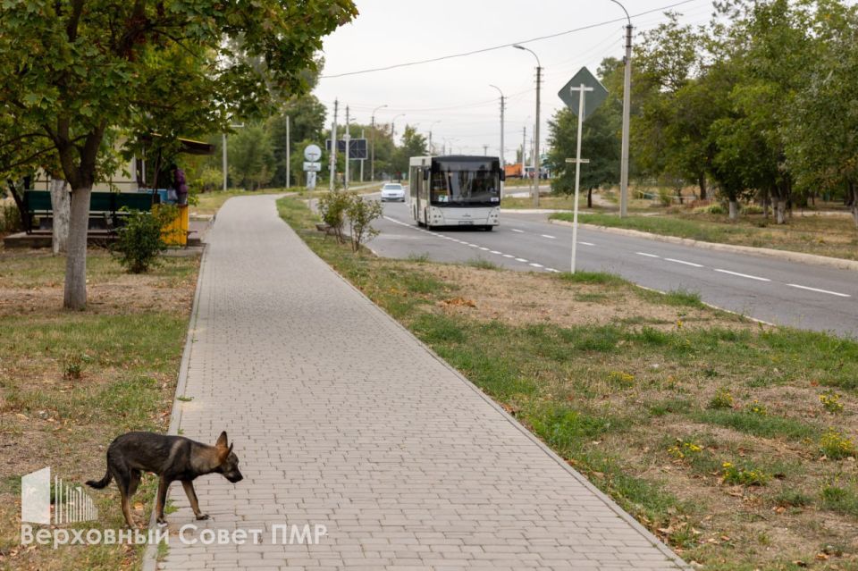 � ��������� ������ �������� ������������� ����������� ��������� �����