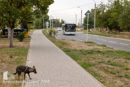 � ��������� ������ �������� ������������� ����������� ��������� �����