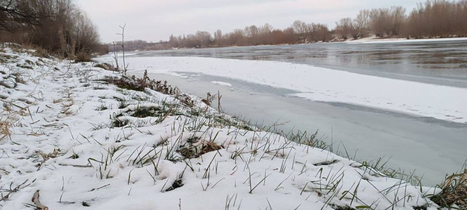 ������� ������ ���������� �������