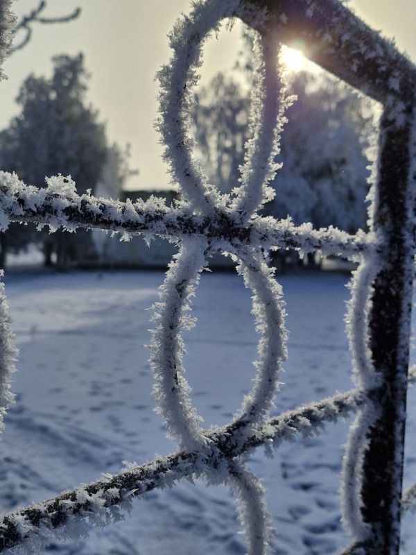 ������ ������� ����������� (���������������� �����), ������� ��������� �����