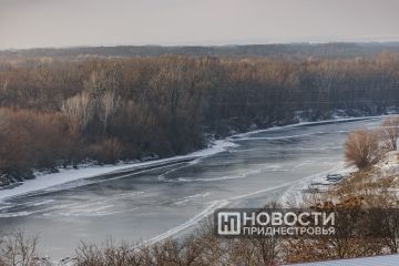 ����� 3000 ������� ������� ������� � ���������� �������� �� 12 �������, ������������� � ������� �������������