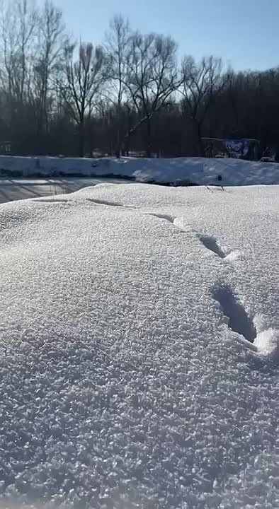 Крещение Господне в пространстве «Ла Саля»: как прошёл праздник в селе Подойма