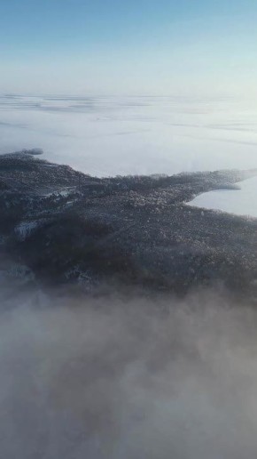 ����� ������ �������� �������