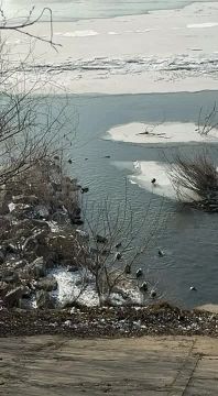 ���������� ���� � ������� �������� � �������������