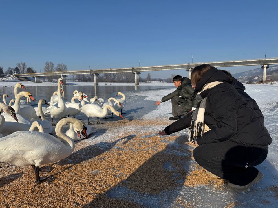 ������� ������� ����� ����� ���������� ���������� ��������������� ������������� ���������� ������ � ������ ������� � ������� ������� � ������ ����� �� �������� ������ ������� � ������ ������� �������