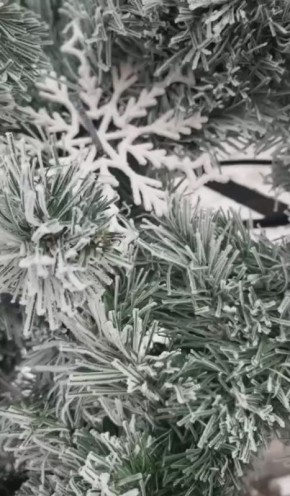 �������, ���� � ������,. ����� ��� �� �������!