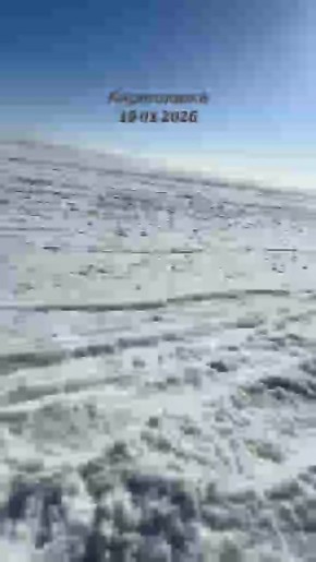 �������� ���� �������. ������� ������ ������� ������ �� ���� �����